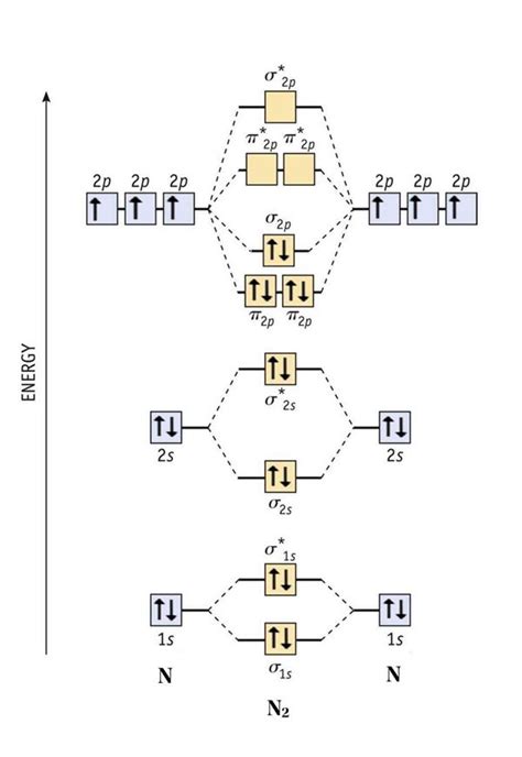 nitrogen electron configuration|how to draw molecular orbital diagram.